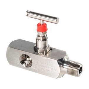 Multi port gauge valve