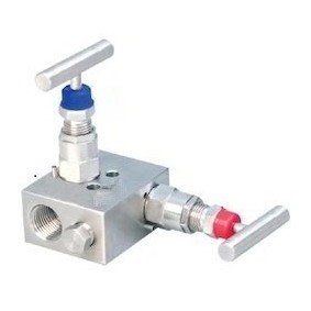 Two-way manifold valve, remote mount