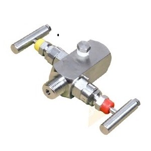 Double block bleed gauge valves